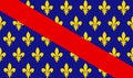 France historical province Bourbonnais flag vector illustration Royalty Free Stock Photo