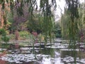 France, Loire Valley, Giverny, Claude Monet`s garden, a pond, Royalty Free Stock Photo