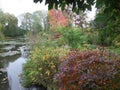 France, Loire Valley, Giverny, Claude Monet`s garden, a pond, Royalty Free Stock Photo