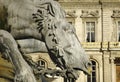 France; Lyon or Lyons: horse statue Royalty Free Stock Photo