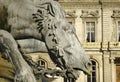 France; Lyon or Lyons: horse statue Royalty Free Stock Photo