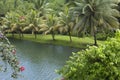 France, Martinique, garden Royalty Free Stock Photo
