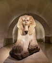 The Great Sphinx statue, carved from a single piece of pink granite Royalty Free Stock Photo