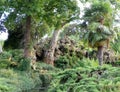 France, Paris, parc Monceau, nature in the park Royalty Free Stock Photo