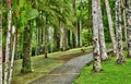 France, the picturesque garden of Balata in Martinique