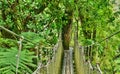 France, the picturesque garden of Balata in Martinique