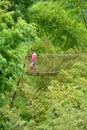 France, the picturesque garden of Balata in Martinique