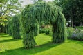 France, picturesque Jardins du Manoir d Eyrignac in Dordogne Royalty Free Stock Photo