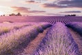 France, Provence Alps Cote d`Azur, Valensole Plateau, Lavender Field at sunrise Royalty Free Stock Photo