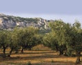 France provence bouches du rhone provence the alpi Royalty Free Stock Photo