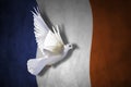 France flag , Dove of peace patriot Independence Day