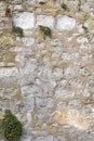 France, Val de Loire-Beautiful and old stone wall with vegetation moss, ferns, grass Royalty Free Stock Photo