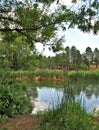 Frances Short Pond in Flagstaff, Arizona