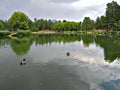 Frances Short Pond in Flagstaff, Arizona