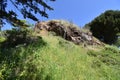 Franciscan Chert rock from the Age of Reptiles, Corona Heights Park San Francisco, 1.