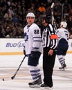 Francois Beauchemin Toronto Mapleleafs Royalty Free Stock Photo