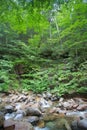 Franconia Notch New Hampshire Royalty Free Stock Photo