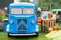 Blue food truck in public park