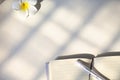 Frangipani flower and notebook, pen on desk with shadow, copy text space Royalty Free Stock Photo