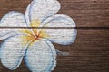 Frangipani flower paint on the wood pattern background