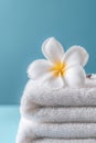 Frangipani flower on stack of white towels, a close-up of a delicate, pink plumeria flower with soft petals, on a white Royalty Free Stock Photo