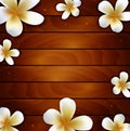 Frangipani flower on wood background