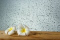 frangipani flower on the wooden floor with Many water drops on g Royalty Free Stock Photo