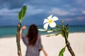 Frangipani flower and young woman on the beach Royalty Free Stock Photo