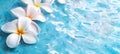 Frangipani flowers floating on blue water, refreshing and serene. Plumeria blossoms on a liquid surface, calming visual Royalty Free Stock Photo