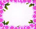 Frangipani flowers frame