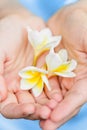 Frangipani flowers in his hands. Man holding flowers of plumeria. In the palms of men are beautiful white flowers Royalty Free Stock Photo