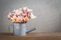 Frangipani flowers in mini metal watering can.