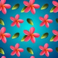 Frangipani flowers seamless pattern, Songkran Festival Royalty Free Stock Photo