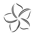 Frangipani or plumeria exotic summer flower. Engraved frangipani isolated in white background. Vector illustration Royalty Free Stock Photo