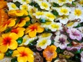 Frangipani/Plumeria Flower Scented Soaps Royalty Free Stock Photo