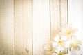 Frangipani plumeria flower in soft color and blur style on white wooden