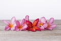 Frangipani or Plumeria flower on wooden background. Spa concept Royalty Free Stock Photo