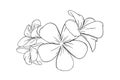 Frangipani or plumeria tropical flower for leis. Engraved frangipani isolated in white background. Vector illustration