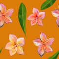 Frangipani Plumeria Tropical Flowers on orange, Lush lava background. Seamless Pattern Background. Tropical floral summer seamless Royalty Free Stock Photo