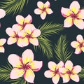 Frangipani Plumeria Tropical Flowers. Seamless Pattern Background. Vector Illustration Royalty Free Stock Photo