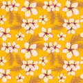 Frangipani Plumeria Tropical Flowers. Seamless Pattern Background. Vector Illustration Royalty Free Stock Photo