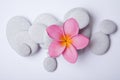 Frangipani Zen Royalty Free Stock Photo