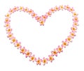 Frangipanis Arranged in Heart Shape Royalty Free Stock Photo