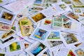 Frankfurt - August 2021: large set of mixed parts of envelopes and postage stamps from different countries, many objects, Royalty Free Stock Photo