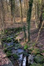 Frankfurt City Forest Stream