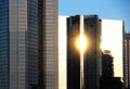 Frankfurt cityscape with sunbeam reflections Royalty Free Stock Photo