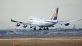FRANKFURT, GERMANY - FEB 28th, 2015: The Lufthansa Boeing 747 - MSN 26427 - D-ABVN, named Dortmund landing at Frankfurt Royalty Free Stock Photo