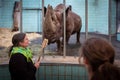 Frankfurt, Germany - February 14, 2019: Frankfurt Zoo staff cleans rhino