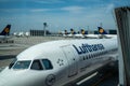 Deutsche Lufthansa AG logos Airbus aircraft at passenger boarding area with fleet in view