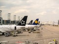 View at the tail fins of several Lufthansa and Star Alliance airplanes on a ramp of the